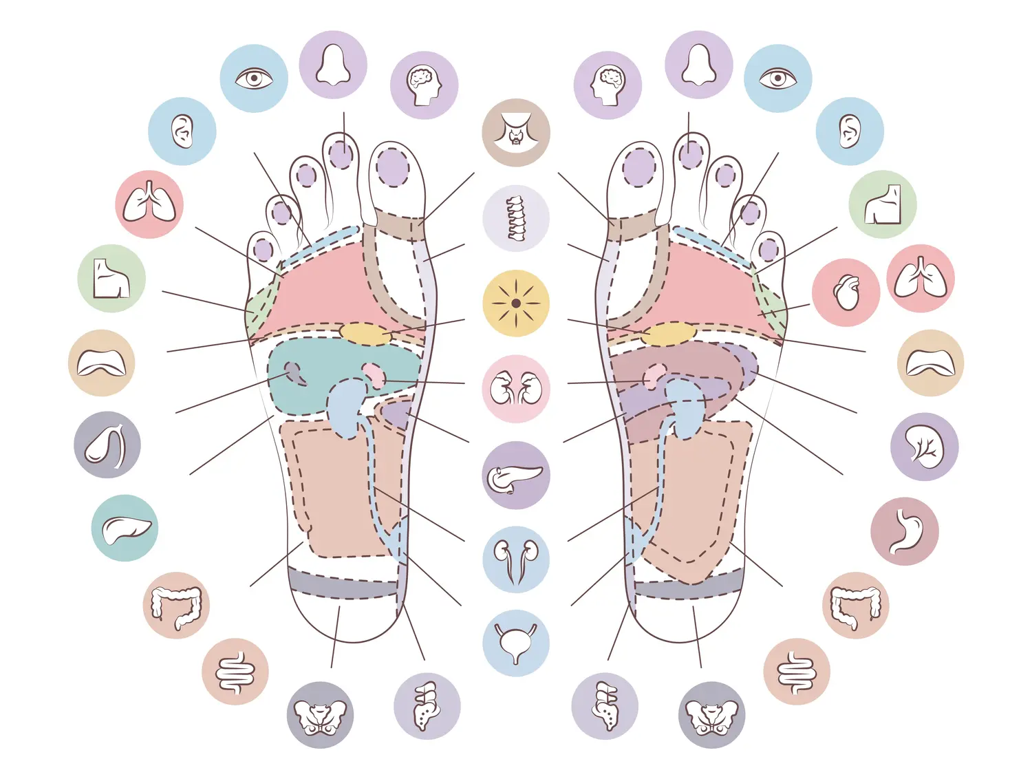 Foot reflexology chart showing the feet, their pressure points, and the points’ corresponding body parts