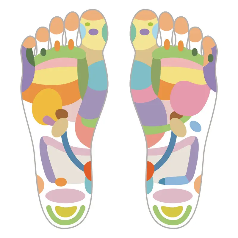 reflexology chart for tcm foot massage