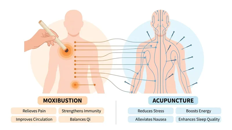 a side-by-side infographic comparison of Moxibustion TCM vs Acupuncture Benefits